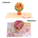 /6a72ed1424c6990009960a25/2026/08/05/product-img-6a72f27a694470f92bda6f3c.png